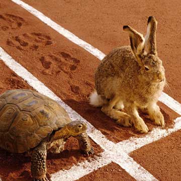 Tortise and hare sitting next to each other on a track